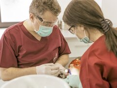 ArtDent - clinica stomatologica